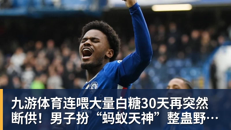 九游体育连喂大量白糖30天再突然断供！男子扮“蚂蚁天神”整蛊野生蚁群